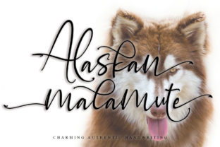 Alaskan Malamute Font: A Handwritten Typeface for Editorial Design