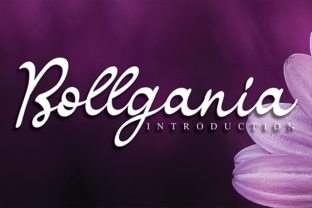 Bollgania: The Handwritten Typeface That Elevates Small Business Branding