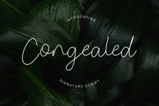 Congealed: A Script Font with Subtle Sophistication