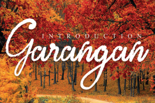 Garangan Typeface Review: Adding Quirky Charm to Handmade Brands